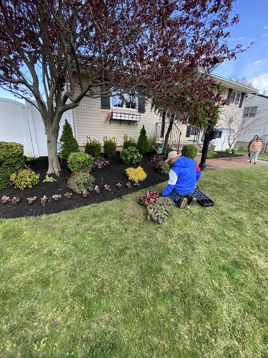 New paver walkway and landscaping project on Long Island